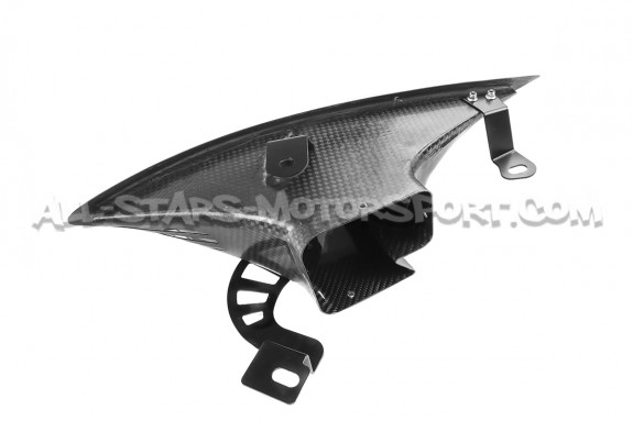 Audi RS3 8V Facelift Eventuri Carbon Fiber Intake System