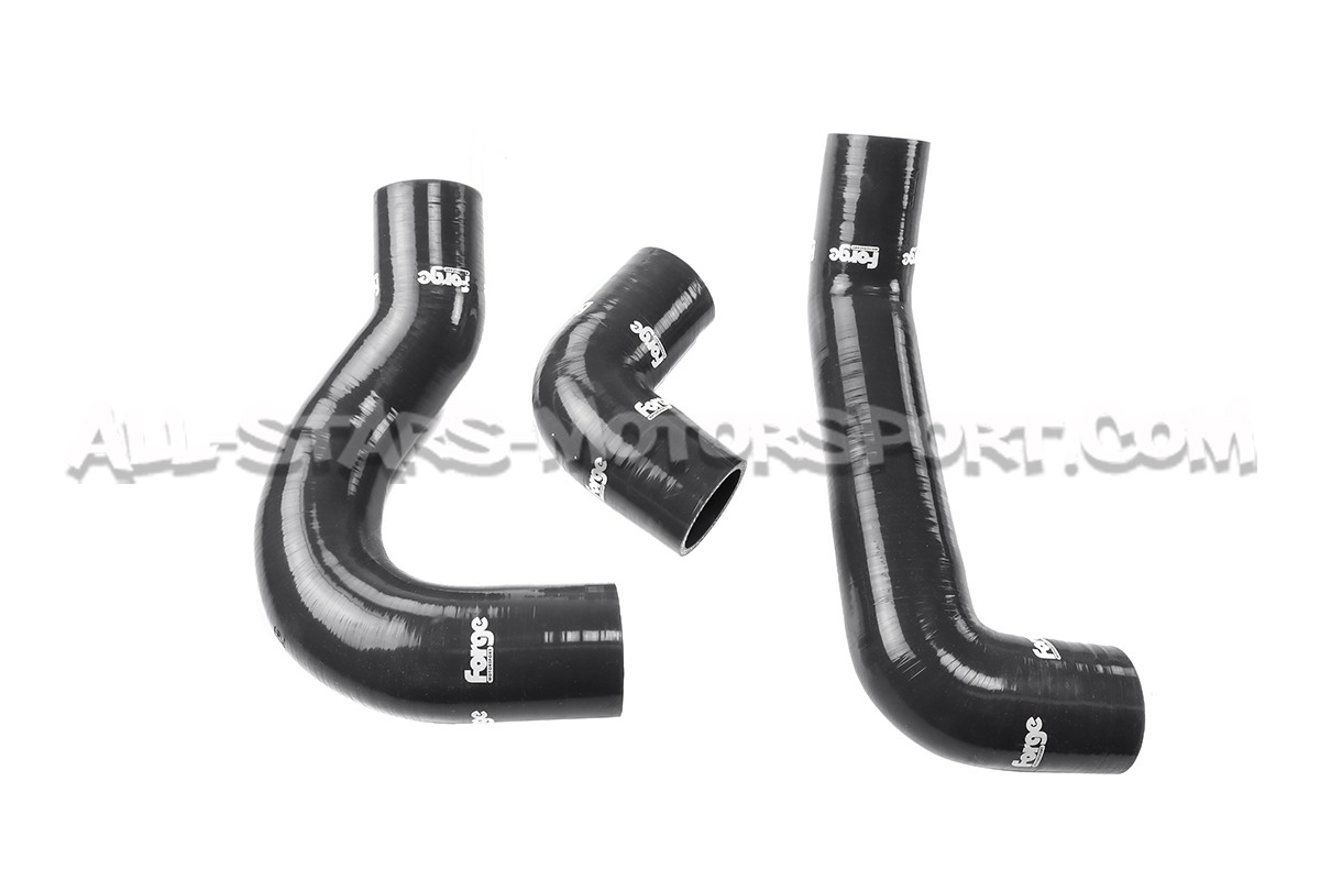 Intercambiador Forge para Clio 4 RS 1.6T 200
