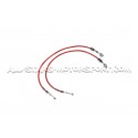 Latiguillos de freno metalicos Goodridge para Ford Focus 2 RS