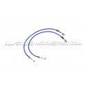 Latiguillos de freno metalicos Goodridge para Ford Focus 2 RS