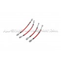 Latiguillos de freno metalicos Goodridge para Ford Focus 2 RS