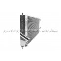 Radiateur Mishimoto pour Ford Focus ST 250