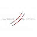 Latiguillos de freno metalicos Goodridge para Clio 3 RS 197