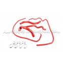 Mazda 3 MPS 09-13 Mishimoto Radiator Hose Kit