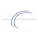 Latiguillos de freno metalicos Goodridge para Clio 3 RS 197