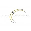 Honda S2000 Goodridge Braided Brake Hose Lines Kit