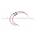 Flexibles de frein aviation Goodrigde pour Honda Civic EG6