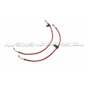 Latiguillos de freno metalicos Goodridge para Honda S2000