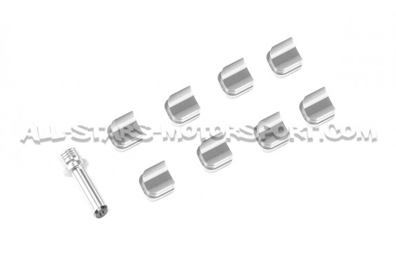 Kit suppression de clapets CTS Turbo pour 2.0 TFSI - flap delete