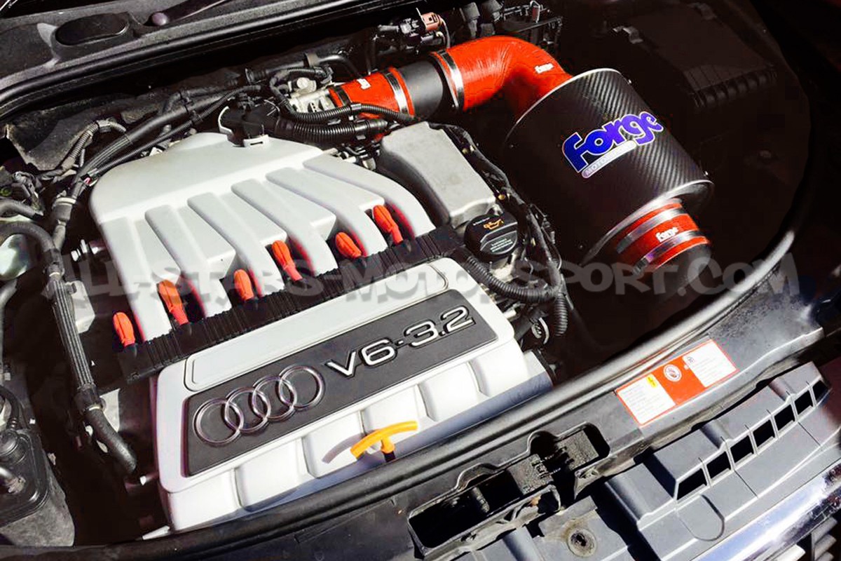 Admission carbone Forge pour Audi A3 8P 3.2 V6