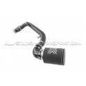 Kit de admision Forge para Focus 3 ST 250 15+