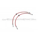 Audi RS3 8P / TT RS 8J Mk2 Goodridge Braided Brake Hose Lines Kit