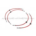 Latiguillos de freno metalicos Goodridge para Mini Cooper S R56 JCW