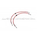 Latiguillos de freno metalicos Goodridge para Mini Cooper S R56 JCW