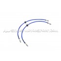 Latiguillos de freno metalicos Goodridge para Mini Cooper S R56 JCW