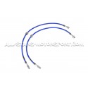 Latiguillos de freno metalicos Goodridge para BMW M3 E46