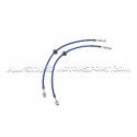 Latiguillos de freno metalicos Goodridge para Audi RS3 8V