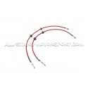 Flexibles de frein aviation Goodridge pour Audi RS6 C5