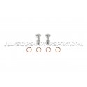 Latiguillos de freno metalicos Goodridge para Audi RS4 B7
