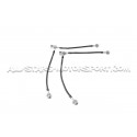 Latiguillos de freno metalicos Goodridge para Nissan 350Z