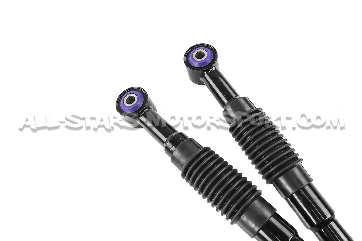 Mini Cooper S R55 / R56 / R57 Forge Ajustable Rear Lower Control Arms