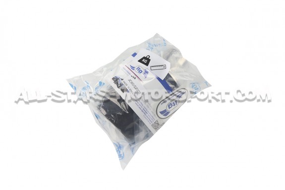 Filtre a air sport ITG Profilter pour Honda S2000