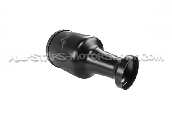 Admission ITG Maxogen pour Renault Clio 4 RS