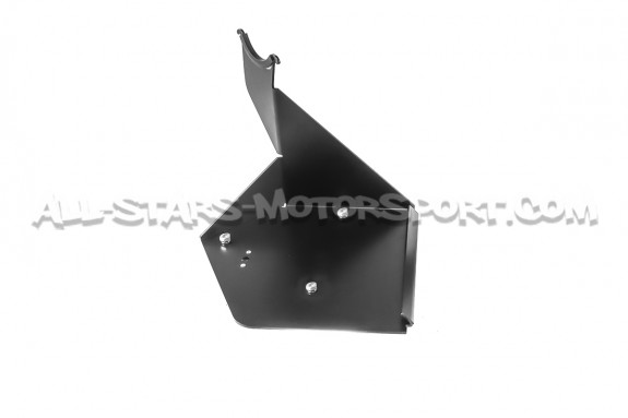 Admision ITG Maxogen para Fiesta Mk7 ST 180