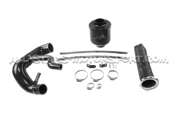Admision ITG Maxogen para Renault Clio 3 RS 197