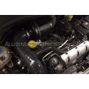 Admision ITG Maxogen para Renault Clio 3 RS 197