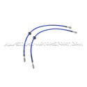 Flexibles de frein aviation Goodridge pour BMW M5 E60