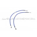 Latiguillos de freno metalicos Goodridge para Ford Focus 3 ST
