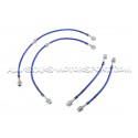 Latiguillos de freno metalicos Goodridge para Ford Focus 3 ST