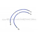 Latiguillos de freno metalicos Goodridge para Ford Focus 3 ST
