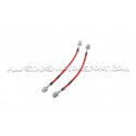 Latiguillos de freno metalicos Goodridge para Ford Focus 3 ST