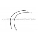Latiguillos de freno metalicos Goodridge para Ford Focus 3 ST