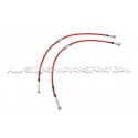 Latiguillos de freno metalicos Goodridge para Renault Megane 2 RS 225