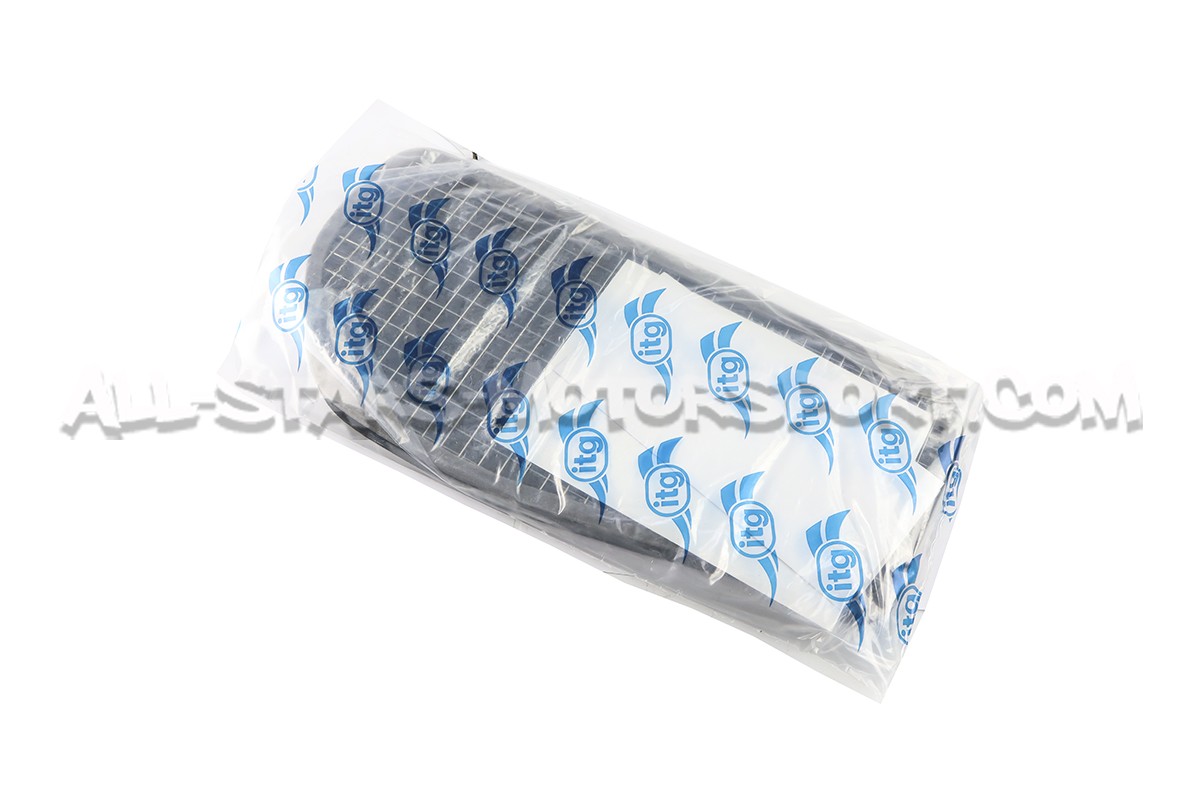BMW M3 E46 CSL Profilter Panel Air filter