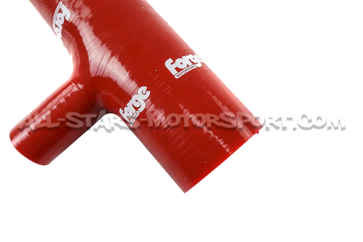 Manguito Forge para valvula para Megane 2 RS