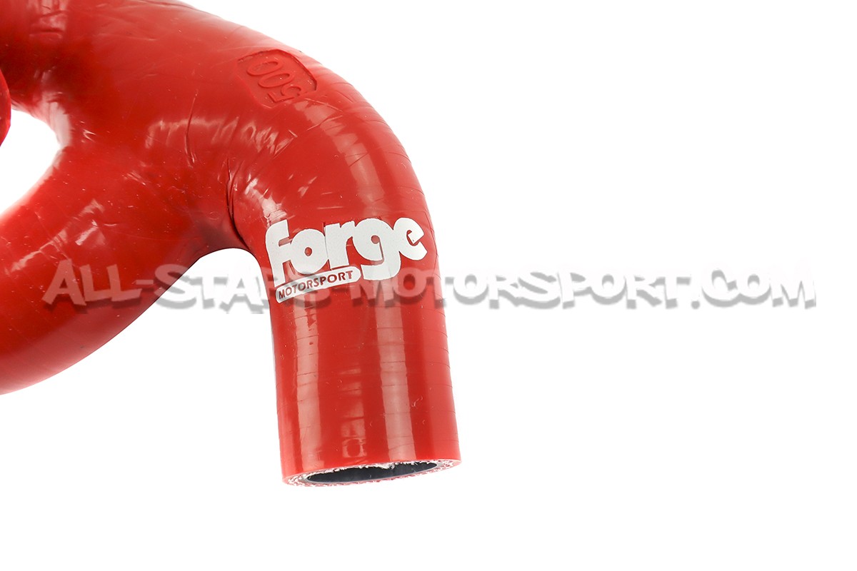 Durite de degazage Forge pour Audi TT 8N / S3 8L / Leon Cupra 1M