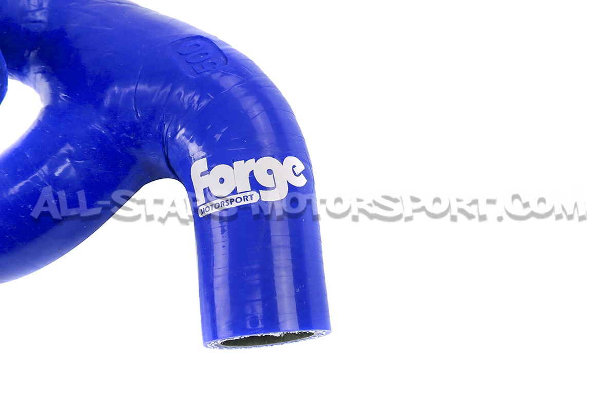 Manguito de respiracion Forge para Audi TT 8N / S3 8L / Leon Cupra 1M