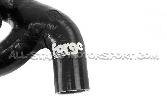 Manguito de respiracion Forge para Audi TT 8N / S3 8L / Leon Cupra 1M
