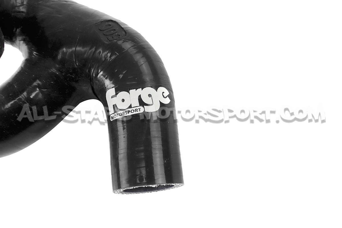 Durite de degazage Forge pour Audi TT 8N / S3 8L / Leon Cupra 1M