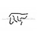 Durites de canister silicone Forge Audi TT MK1 8N