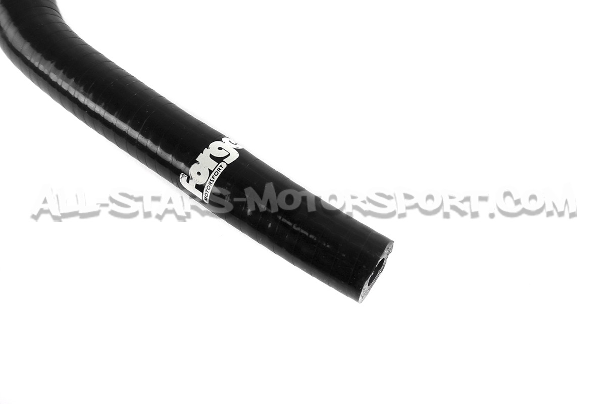 Durites de canister silicone Forge Audi TT MK1 8N