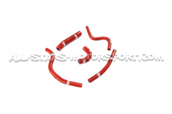 Megane 2 RS Forge Ancillary Hoses Kit