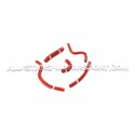 Mangueras auxiliares Forge para Megane 2 RS