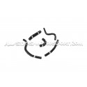 Megane 2 RS Forge Ancillary Hoses Kit