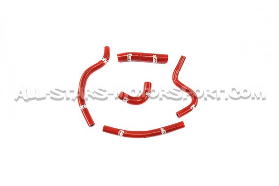 Megane 2 RS Forge Ancillary Hoses Kit