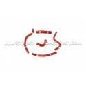 Megane 2 RS Forge Ancillary Hoses Kit